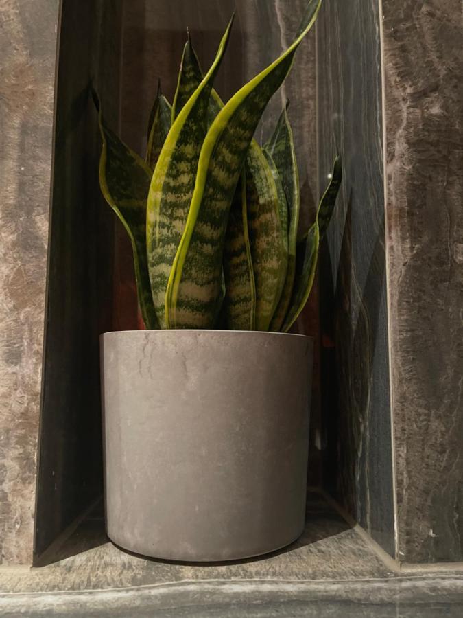 Mangio Dubrovnik Silver 外观 照片